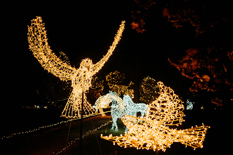 Story of Lights Pécs 2