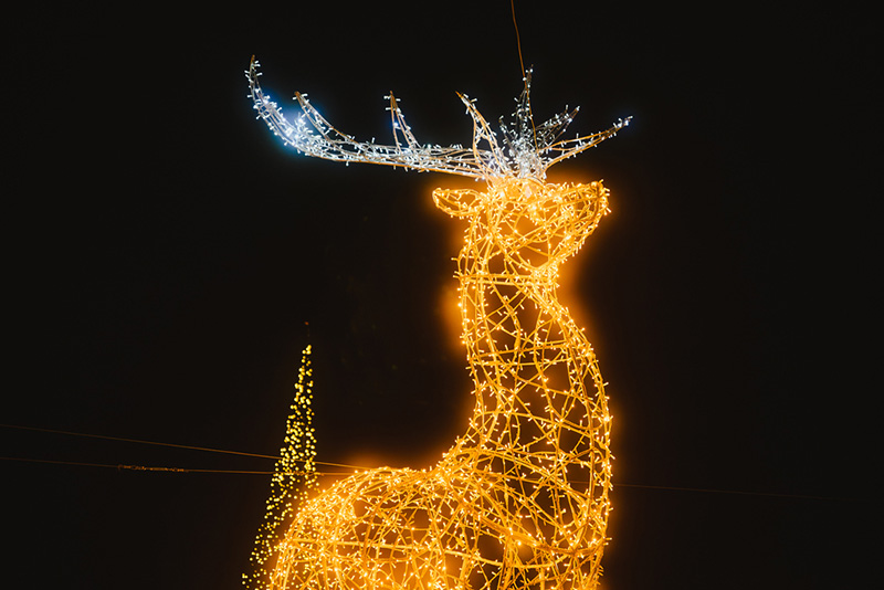 Story of Lights Pécs 3