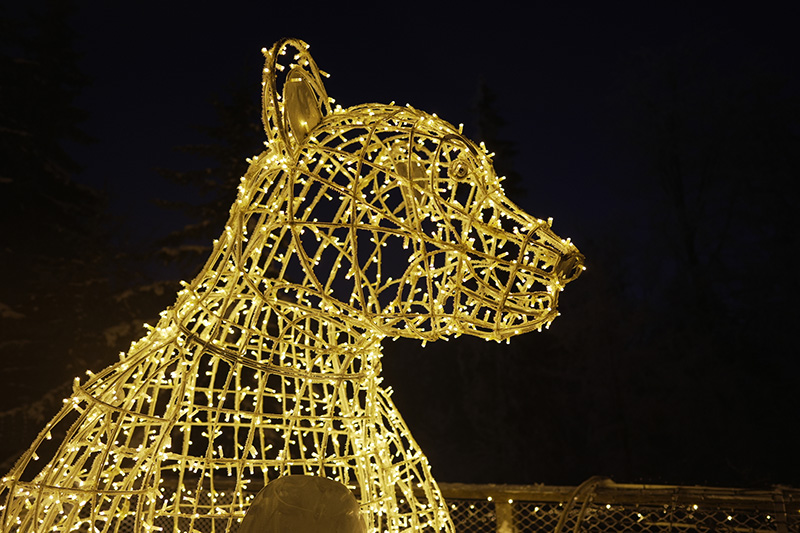 Story of Lights Pécs 4